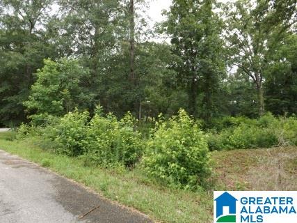 0 Perseverance Lane Odenville, AL 35120 - Photo 8 of 13