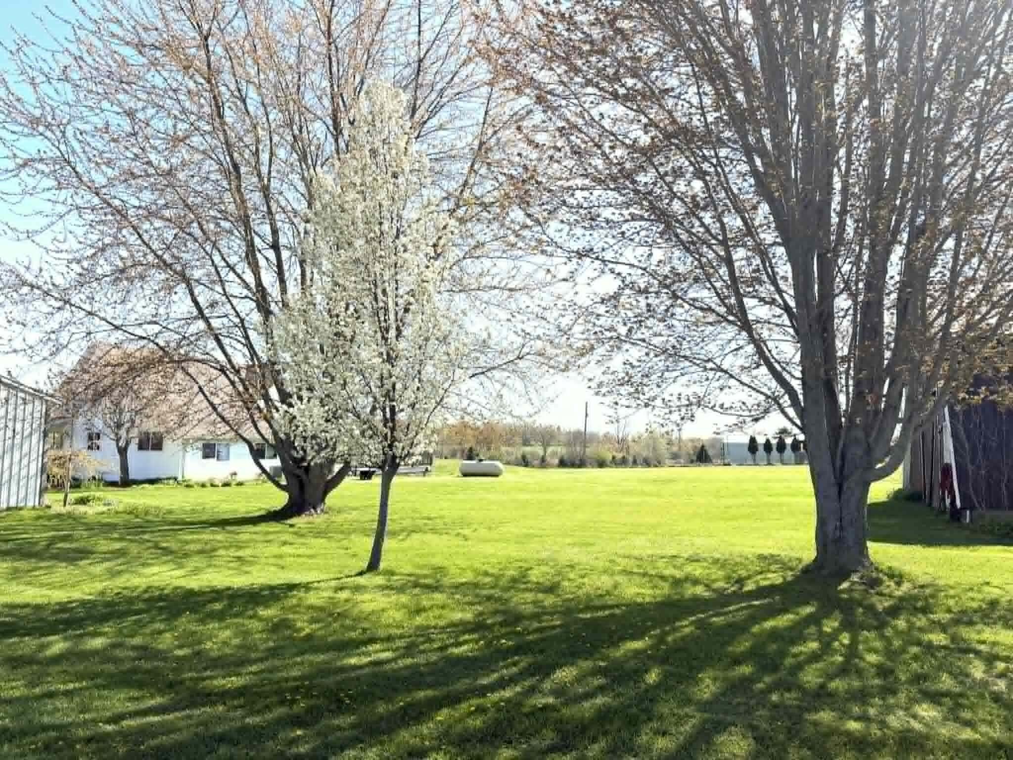 8377 Truman Road Evart, MI 49631 - Photo 29 of 95 629101aa-a372-4e9f-a8ac-50a8a09e47e6