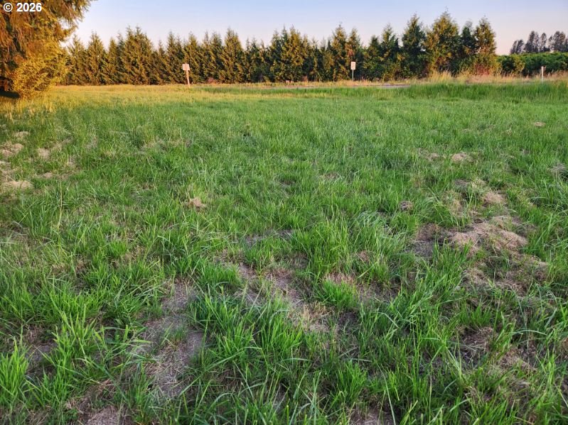 29281 South Old Molalla Road Molalla, OR 97038 - Photo 19 of 19