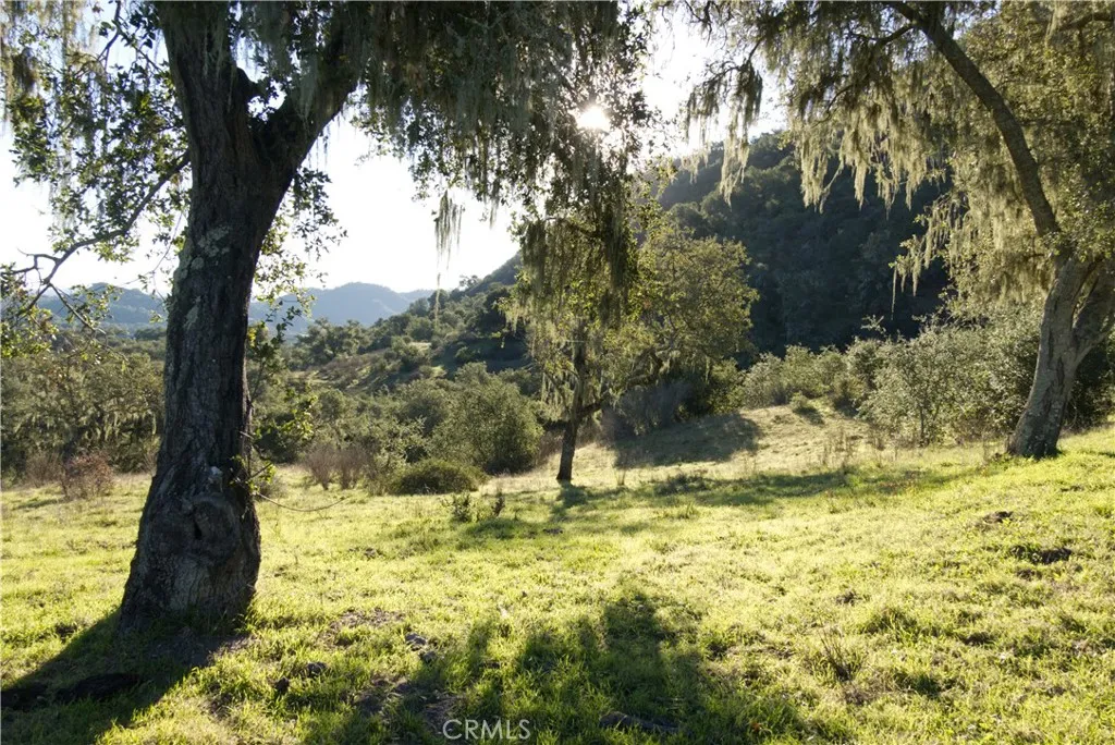 0 Huasna Road Arroyo Grande, CA 93420 - Photo 4 of 19 a view of a yard with a tree