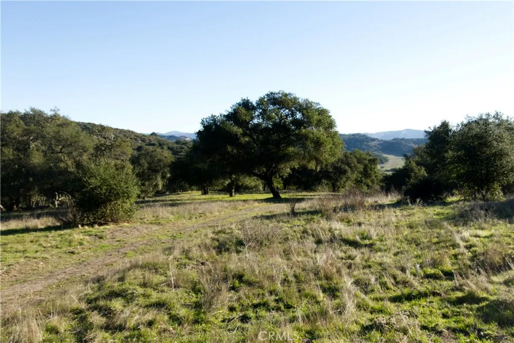 0 Huasna Road Arroyo Grande, CA 93420 - Photo 6 of 19 a view of a yard with a tree