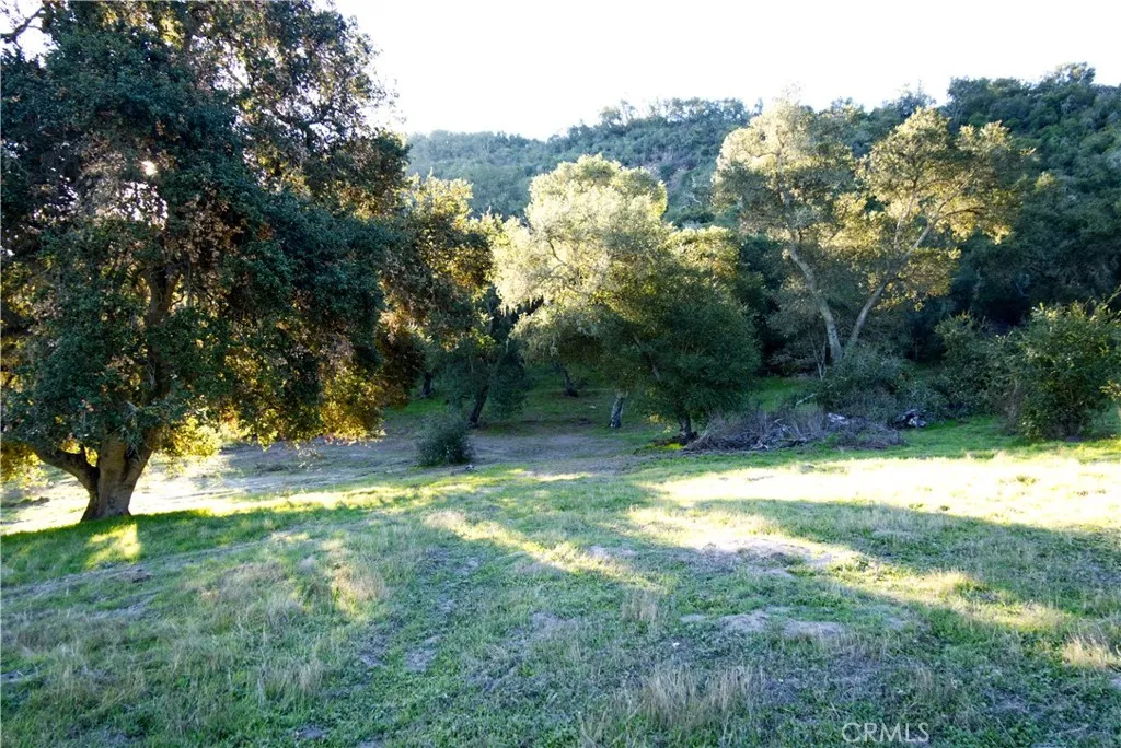 0 Huasna Road Arroyo Grande, CA 93420 - Photo 7 of 19 a view of a yard with a tree