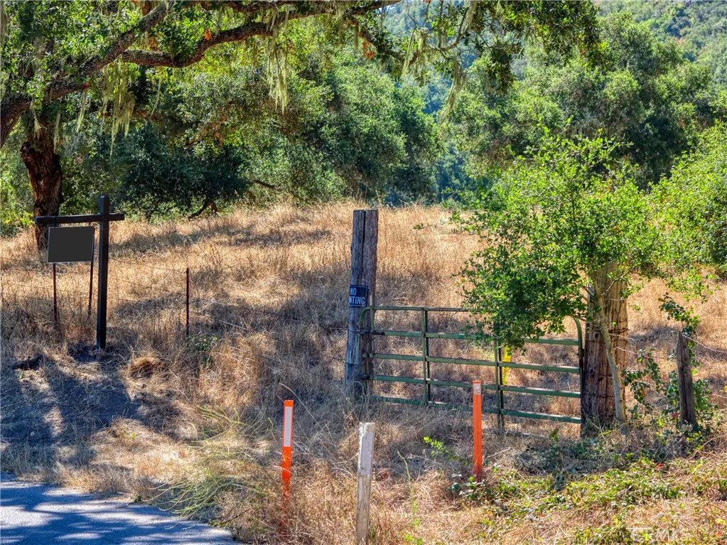 0 Huasna Road Arroyo Grande, CA 93420 - Photo 9 of 19 a street view with tall trees