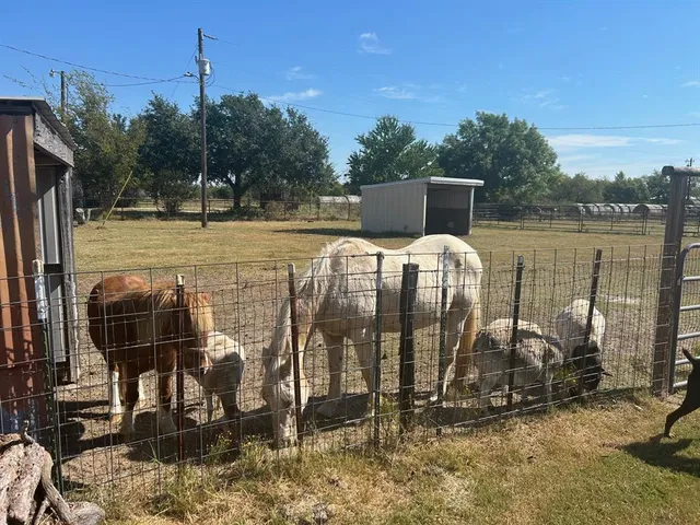 a terrace of a house