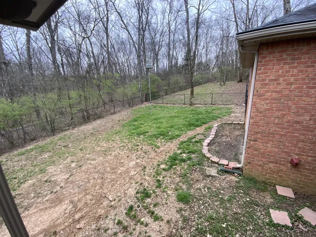 a view of a back yard