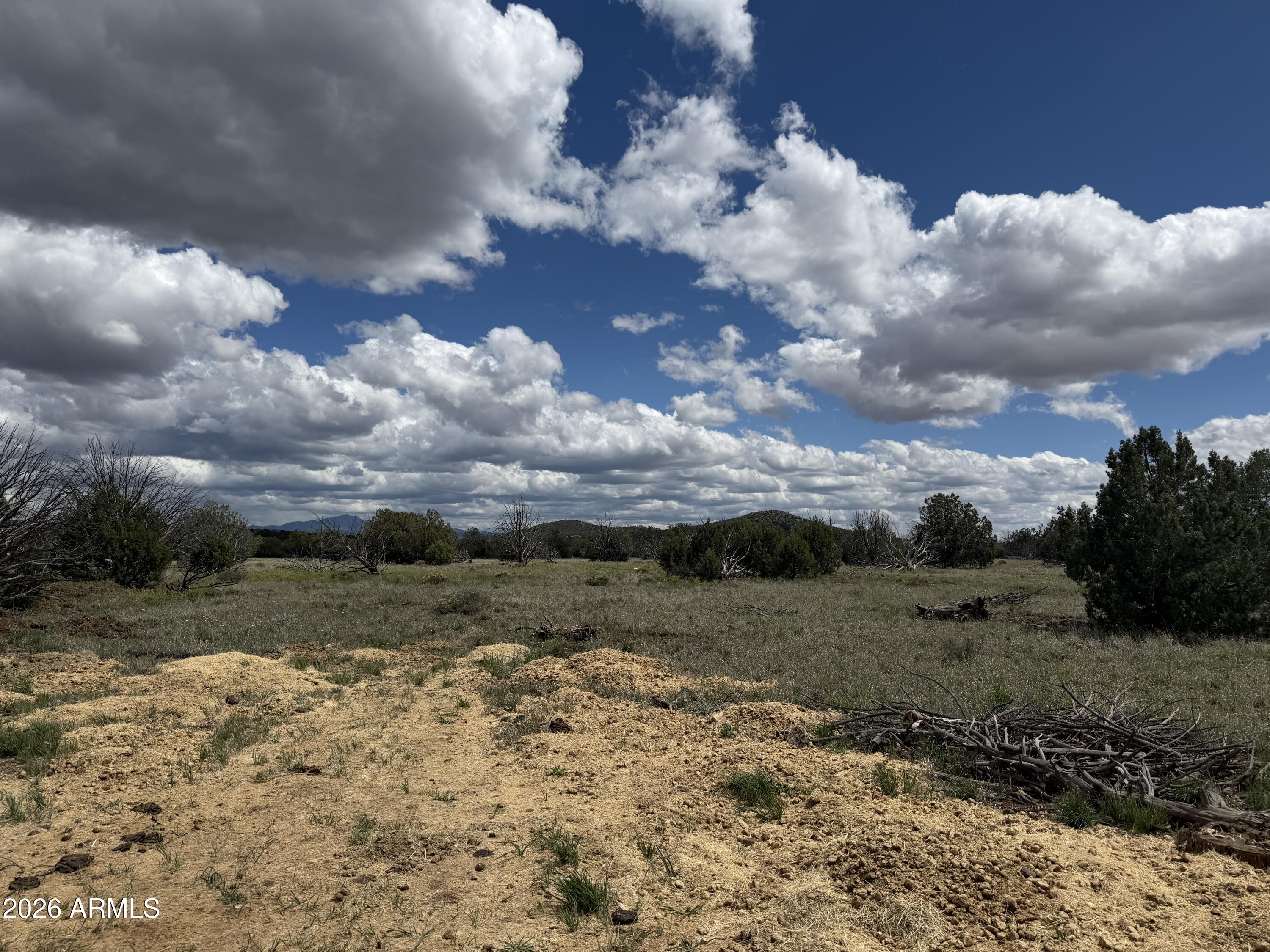 1 Hideaway Road Ash Fork, AZ 86320 - Photo 21 of 45 a view of a dirt field with lots of trees