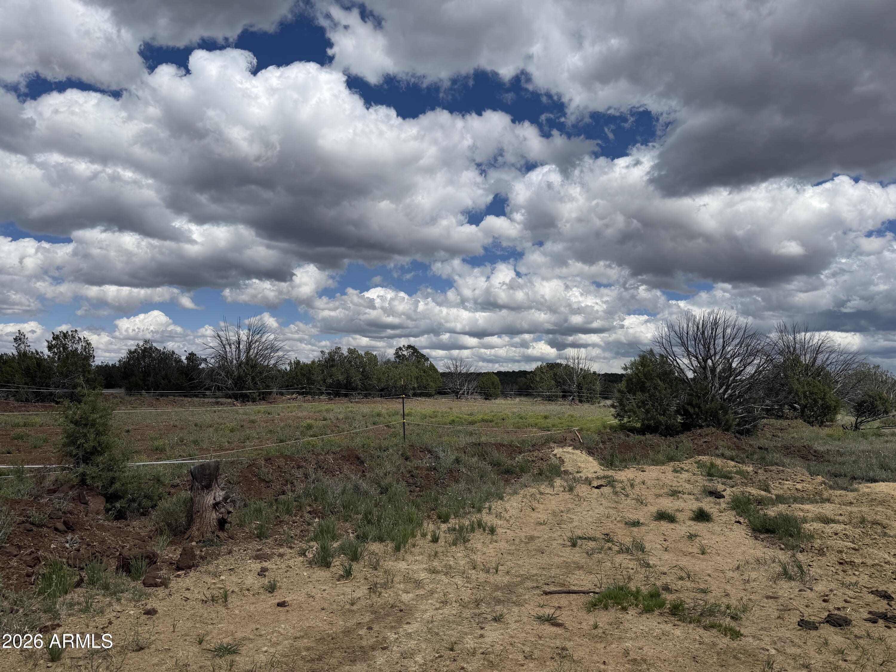 1 Hideaway Road Ash Fork, AZ 86320 - Photo 3 of 45 a view of a field with trees