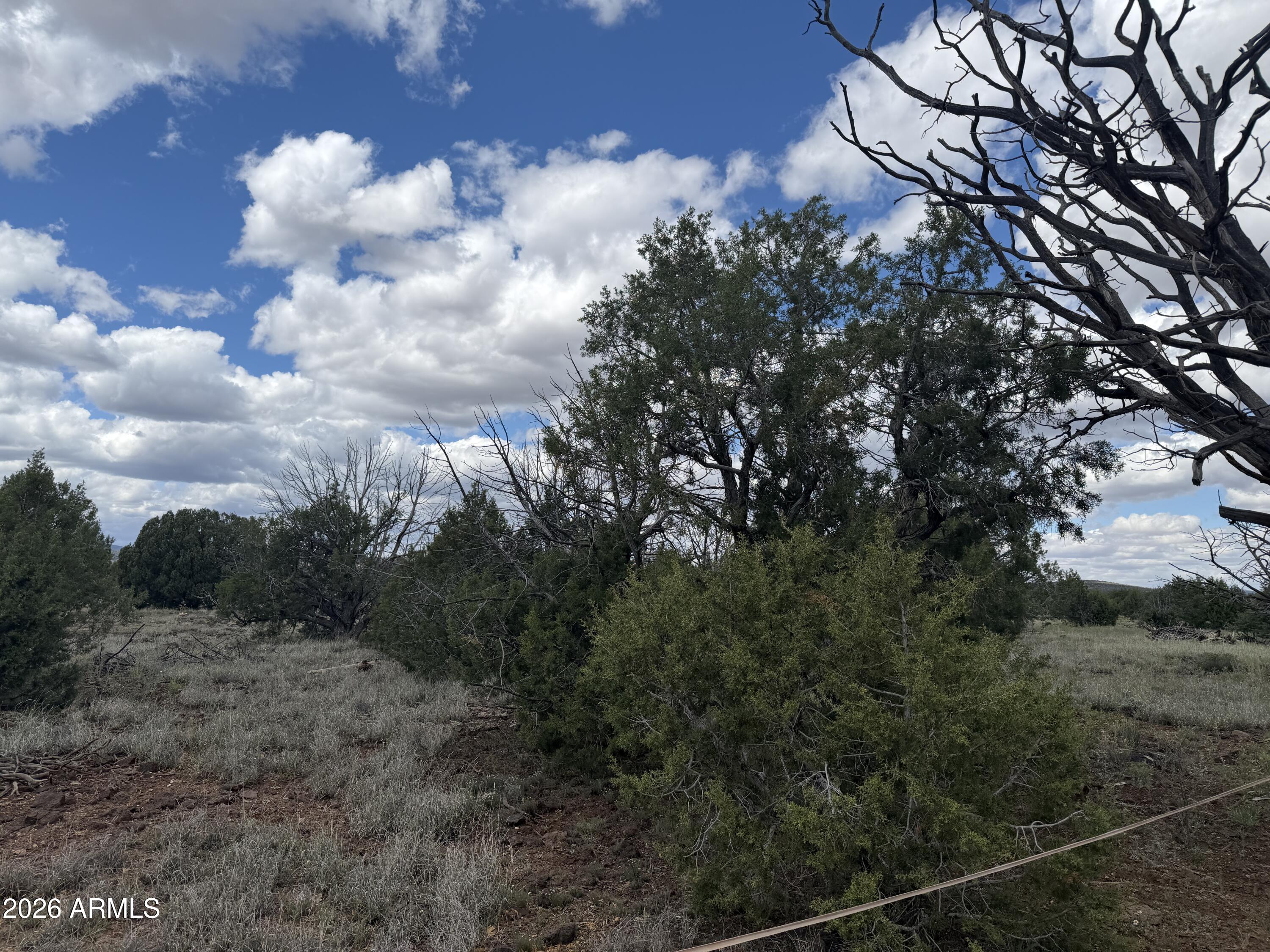 1 Hideaway Road Ash Fork, AZ 86320 - Photo 31 of 45 a view of a bunch of trees