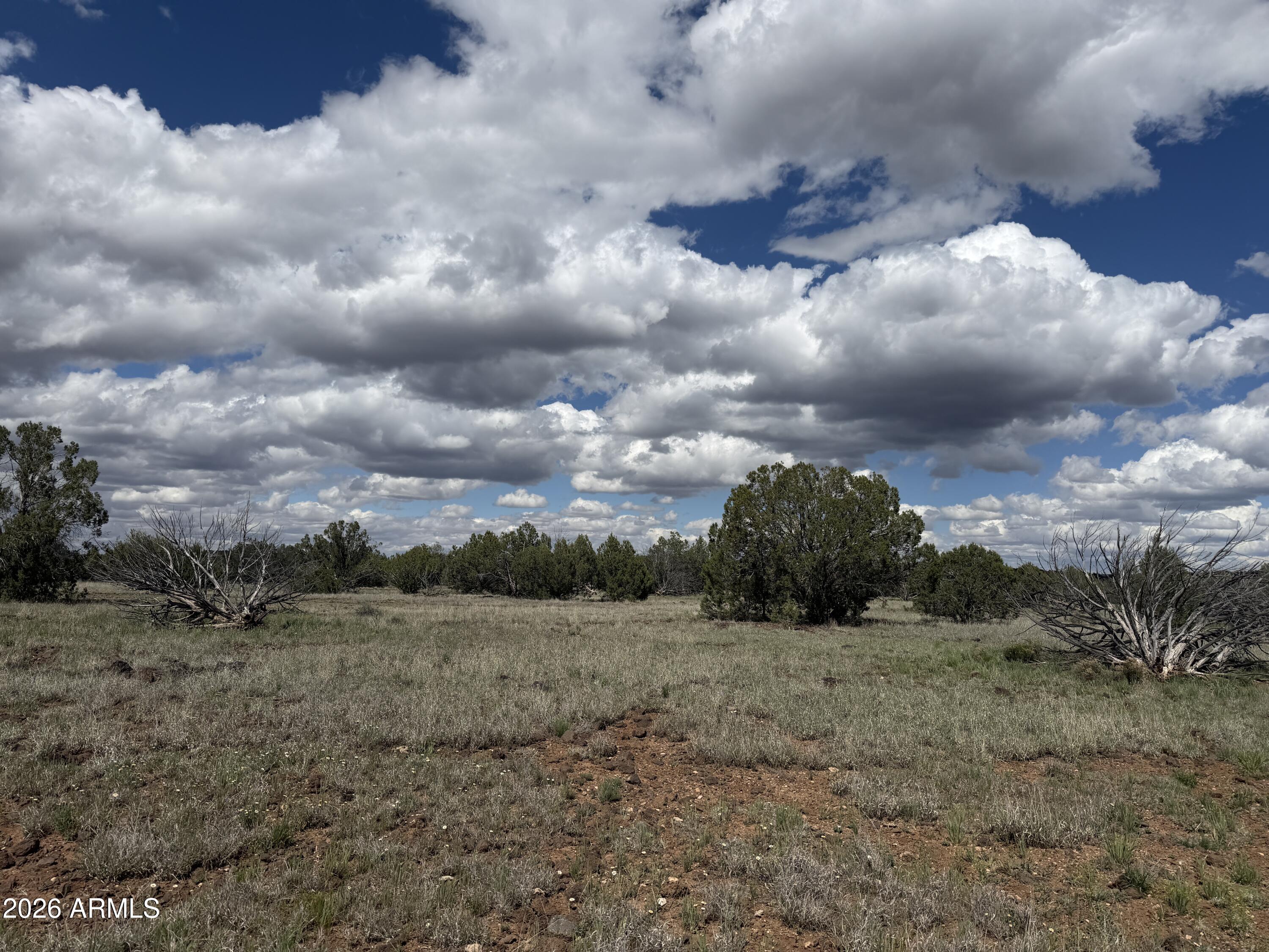 1 Hideaway Road Ash Fork, AZ 86320 - Photo 37 of 45 IMG_3228
