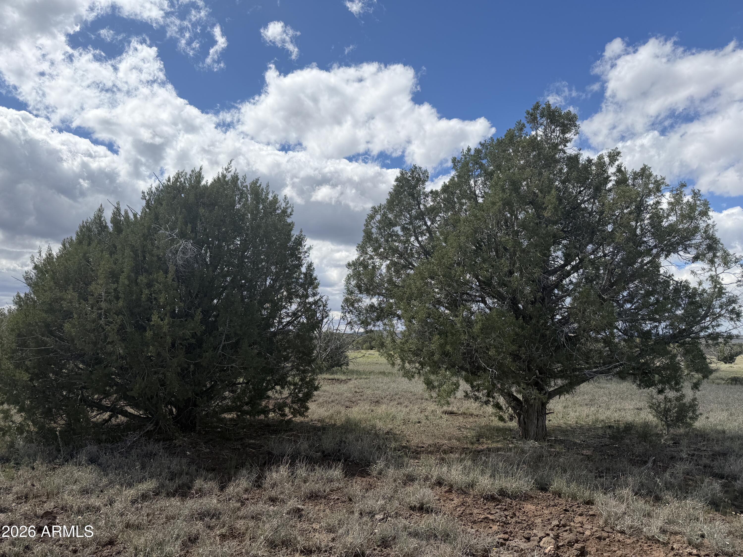 1 Hideaway Road Ash Fork, AZ 86320 - Photo 40 of 45 a view of a bunch of trees