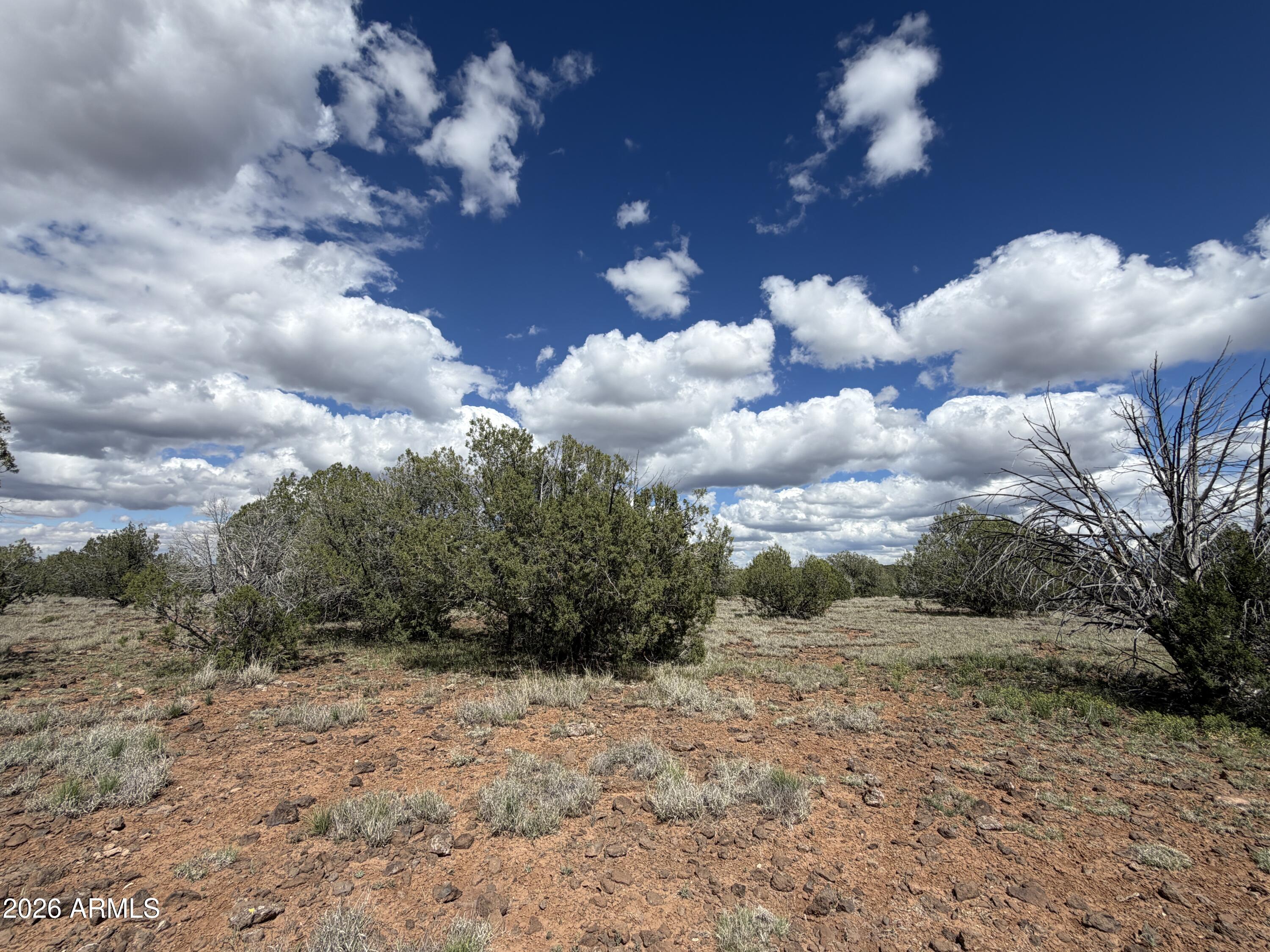 1 Hideaway Road Ash Fork, AZ 86320 - Photo 41 of 45 a view of a bunch of trees in back