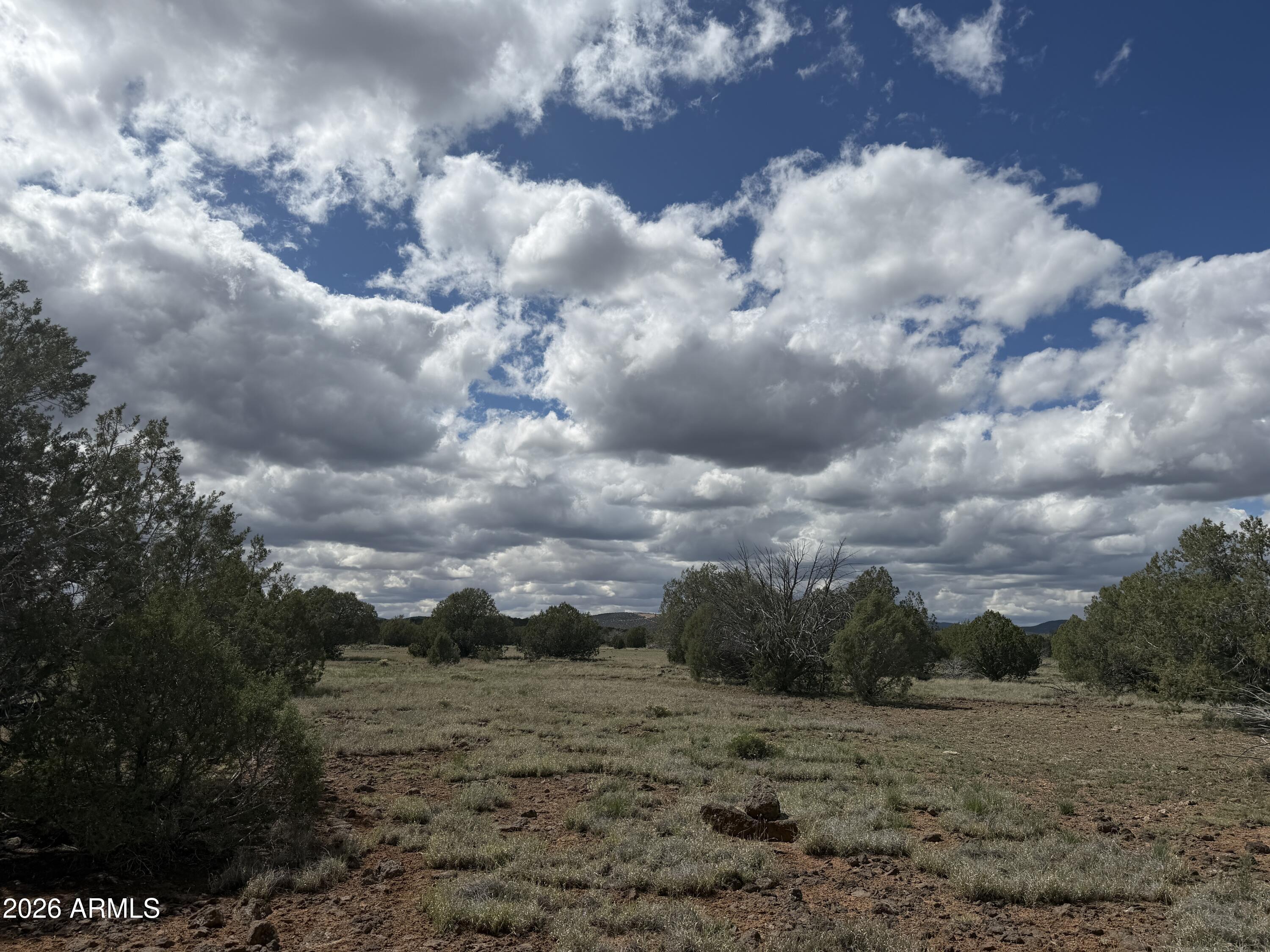 1 Hideaway Road Ash Fork, AZ 86320 - Photo 43 of 45 a view of a dry yard