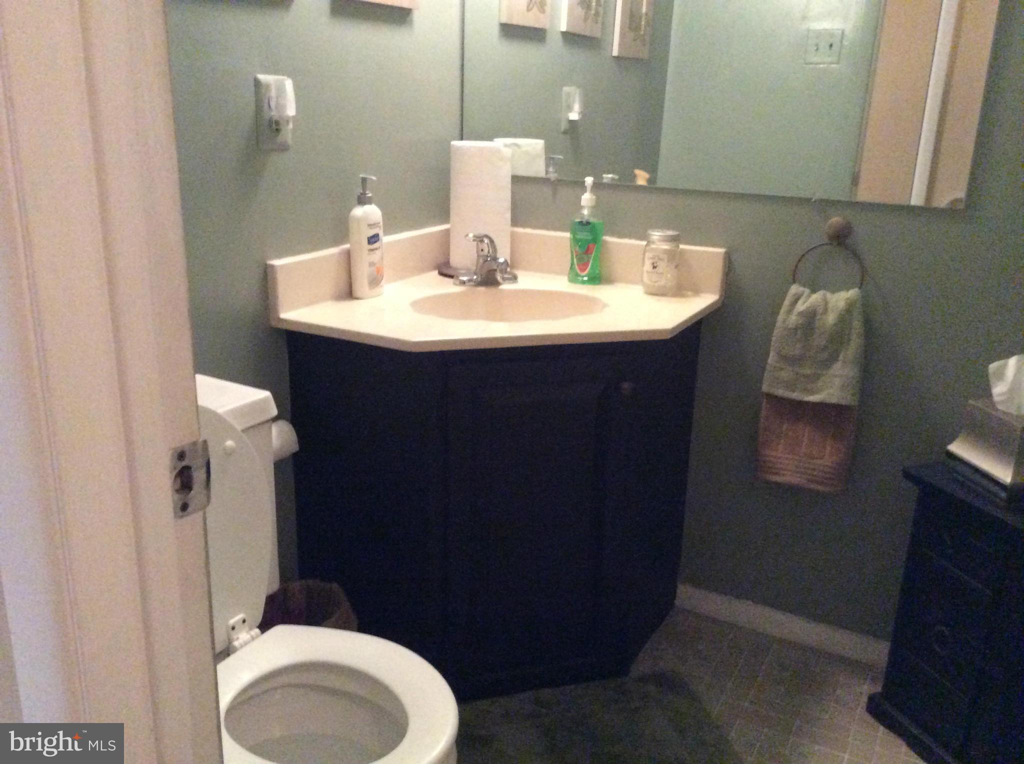9176 Centerway Road Gaithersburg, MD 20879 - Photo 13 of 23 Bath (Master)