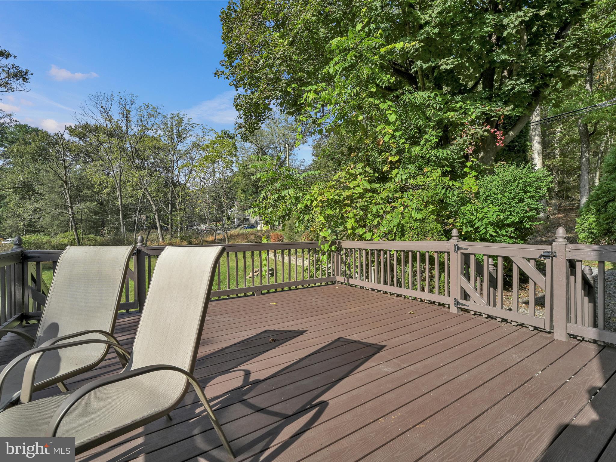 171 Molleystown Road Pine Grove, PA 17963 - Photo 19 of 30 Back Patio