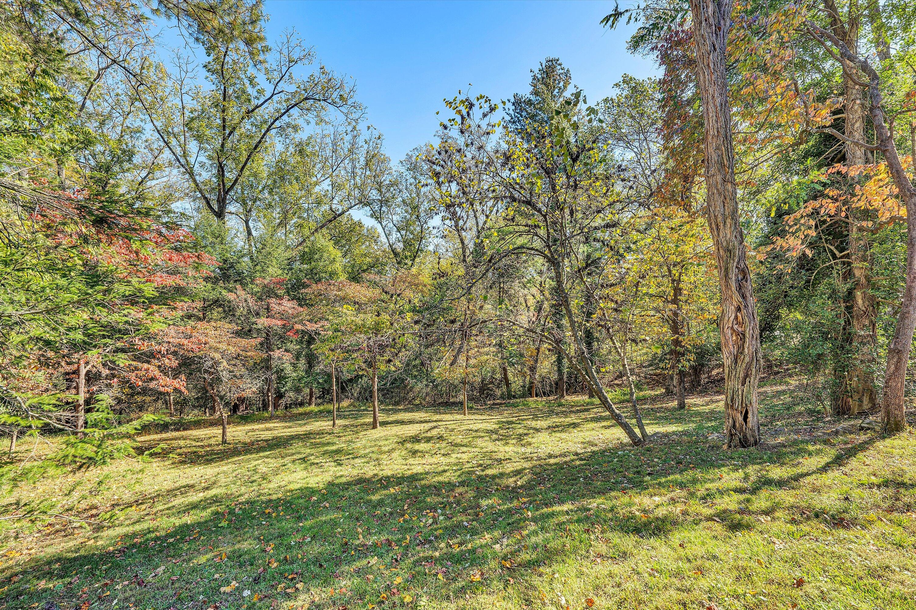 2312 Kipling Street Southwest Roanoke, VA 24018 - Photo 48 of 52 a view of a yard with trees