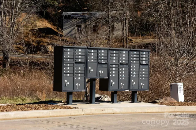 a view of a street with a large tree