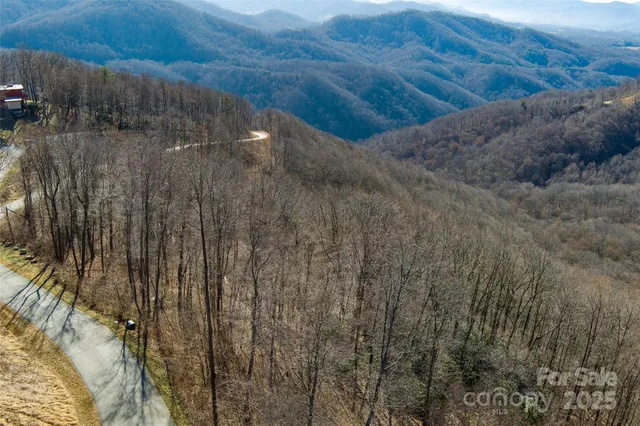 a view of a dry yard