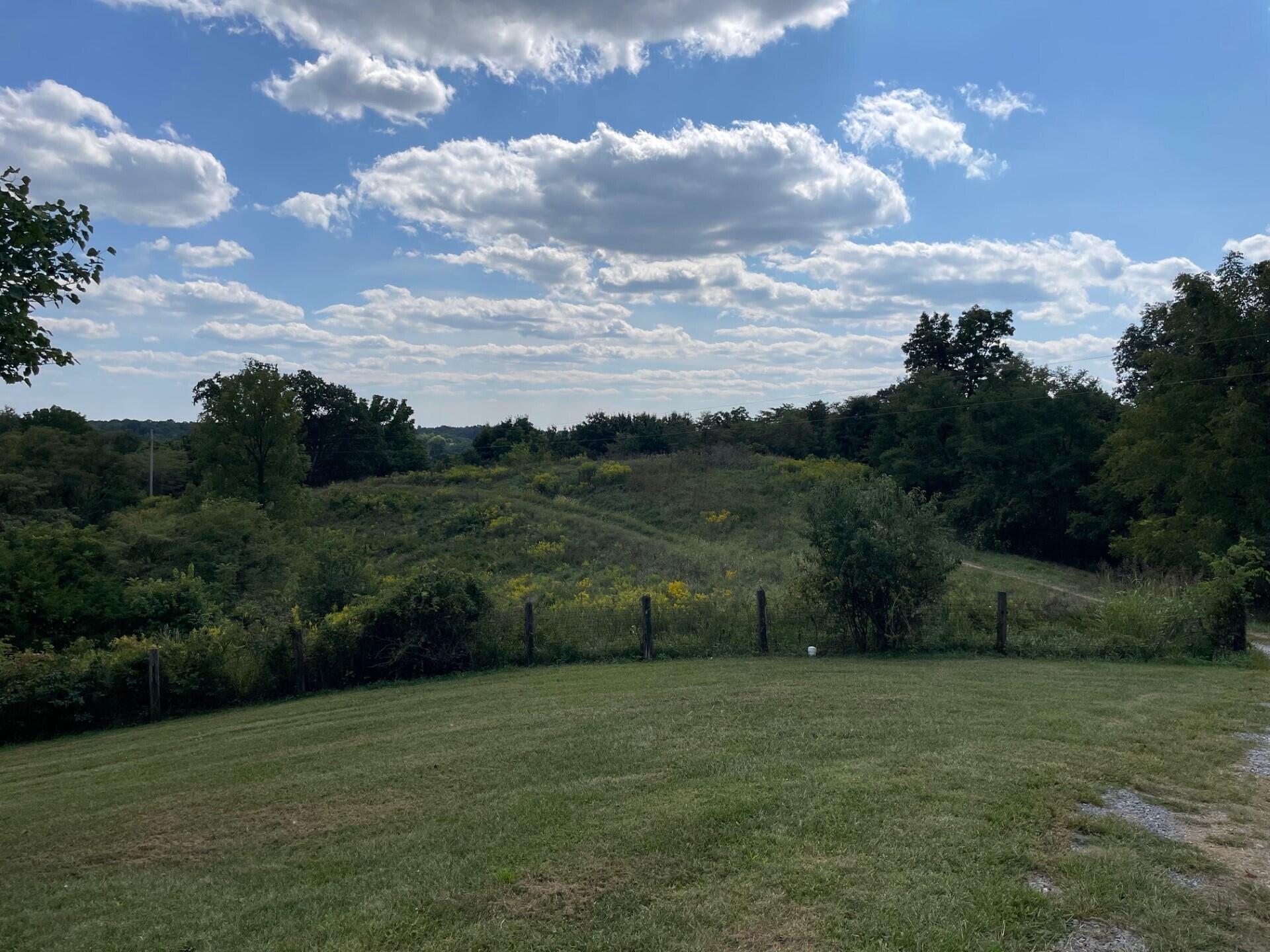 2075 Johnson Road Carlisle, KY 40311 - Photo 14 of 15 Pic - 3