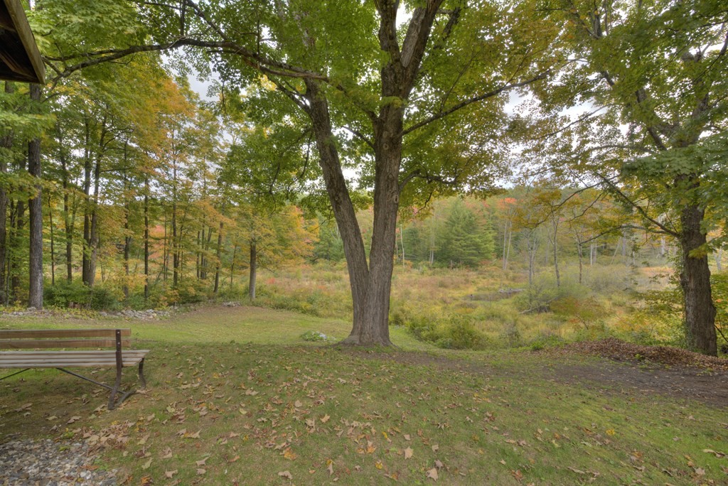 95 Sylvester Road Northampton, MA 01062 - Photo 5 of 42 a view of a yard with a tree