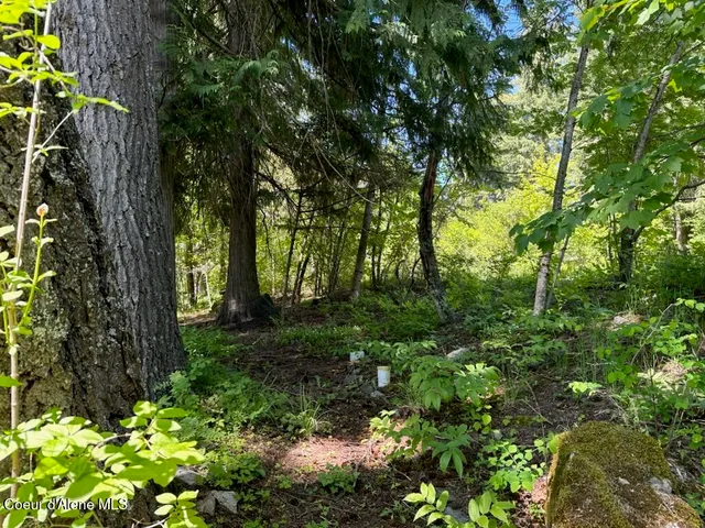 $1,650,000 | 707 Eagen Mountain Drive, Hope, ID 83836