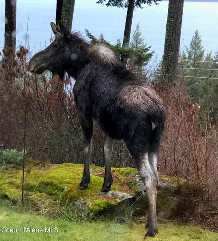 $1,650,000 | 707 Eagen Mountain Drive, Hope, ID 83836