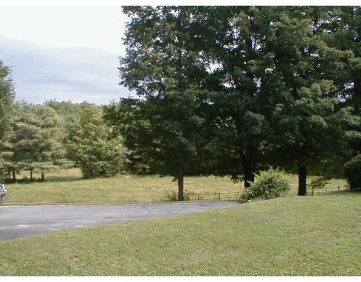 125 Queen Lake Road Phillipston, MA 01331 - Photo 3 of 3 a view of yard with tree