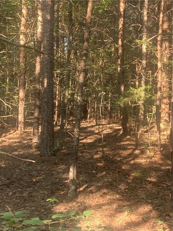 0 Graham Davis Road Denton, NC 27239 - Photo 14 of 22 Gallery Image 14