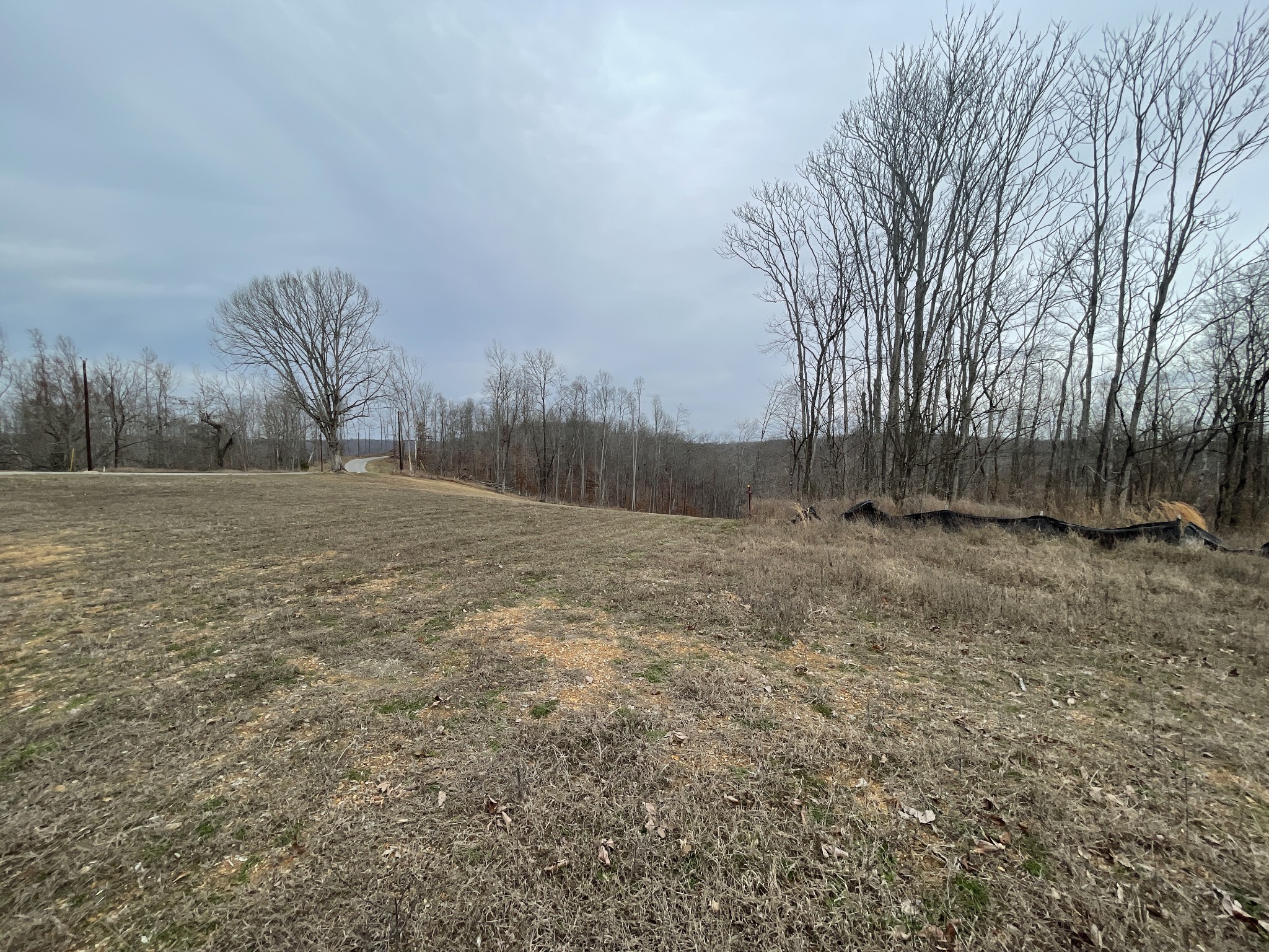 44 Ridgeway Avenue Sparta, TN 38583 - Photo 16 of 42