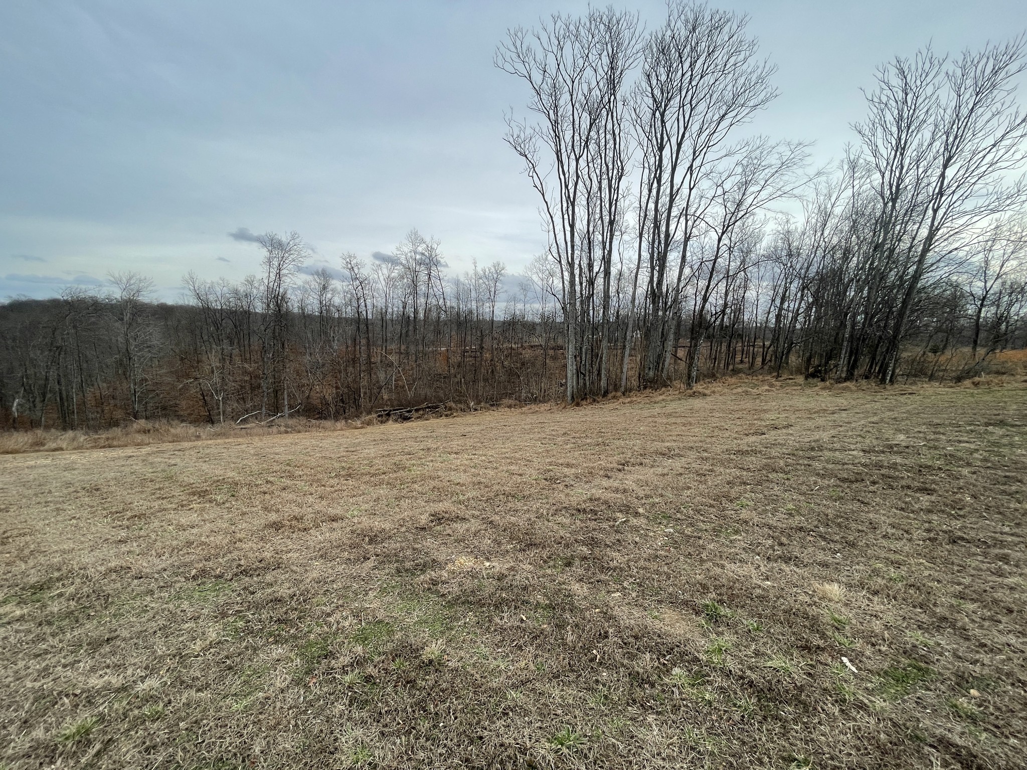 44 Ridgeway Avenue Sparta, TN 38583 - Photo 28 of 42