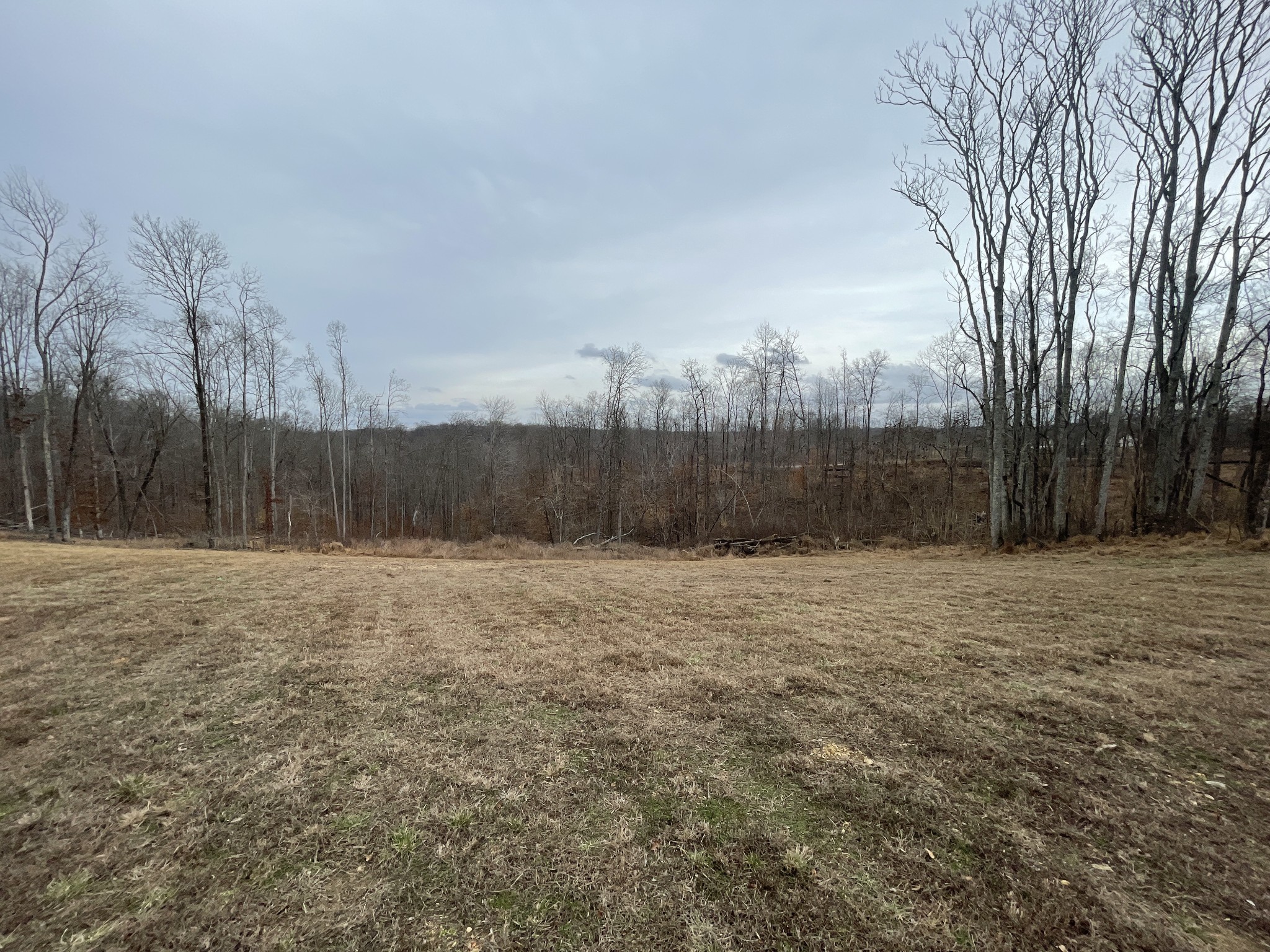 44 Ridgeway Avenue Sparta, TN 38583 - Photo 29 of 42