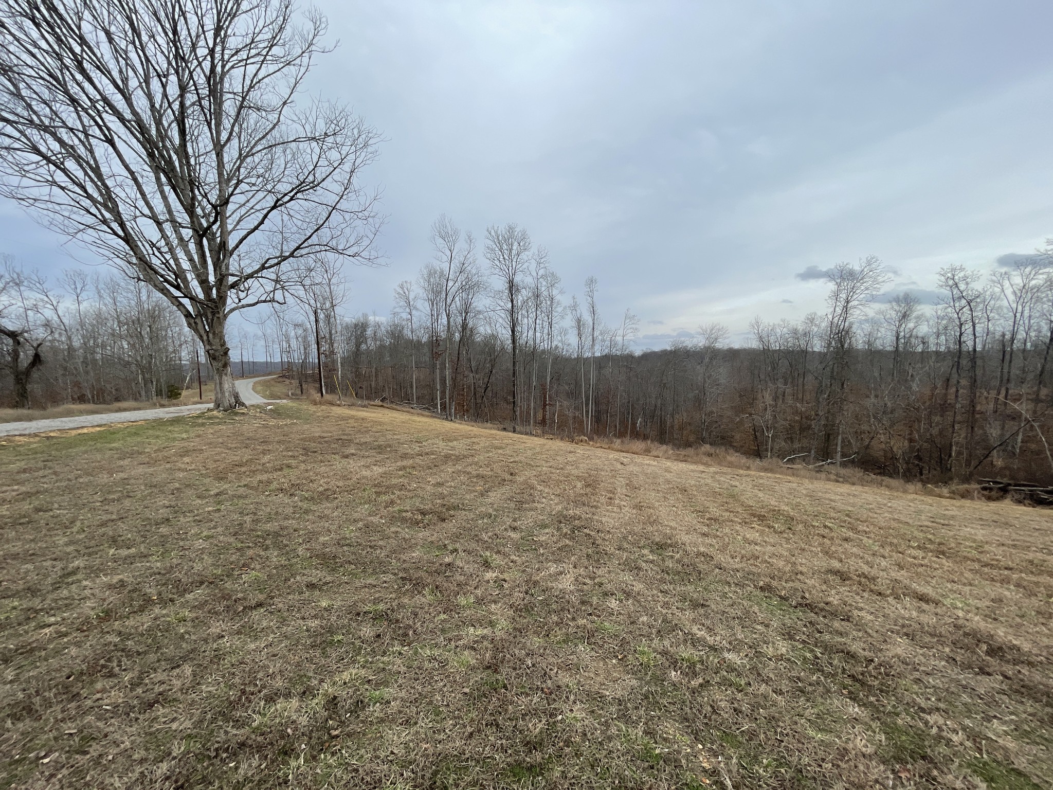 44 Ridgeway Avenue Sparta, TN 38583 - Photo 30 of 42