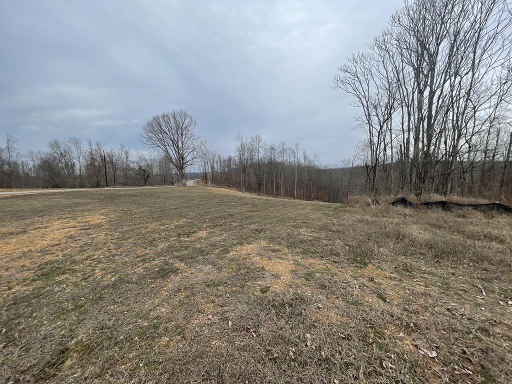 44 Ridgeway Avenue Sparta, TN 38583 - Photo 38 of 42