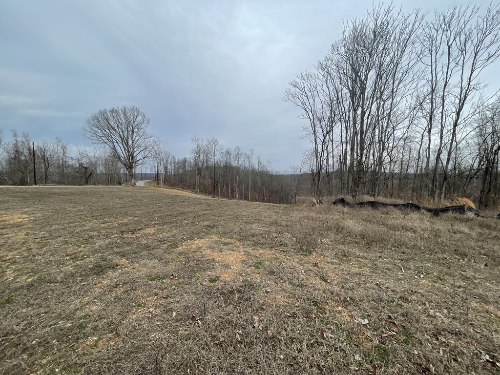 44 Ridgeway Avenue Sparta, TN 38583 - Photo 39 of 42