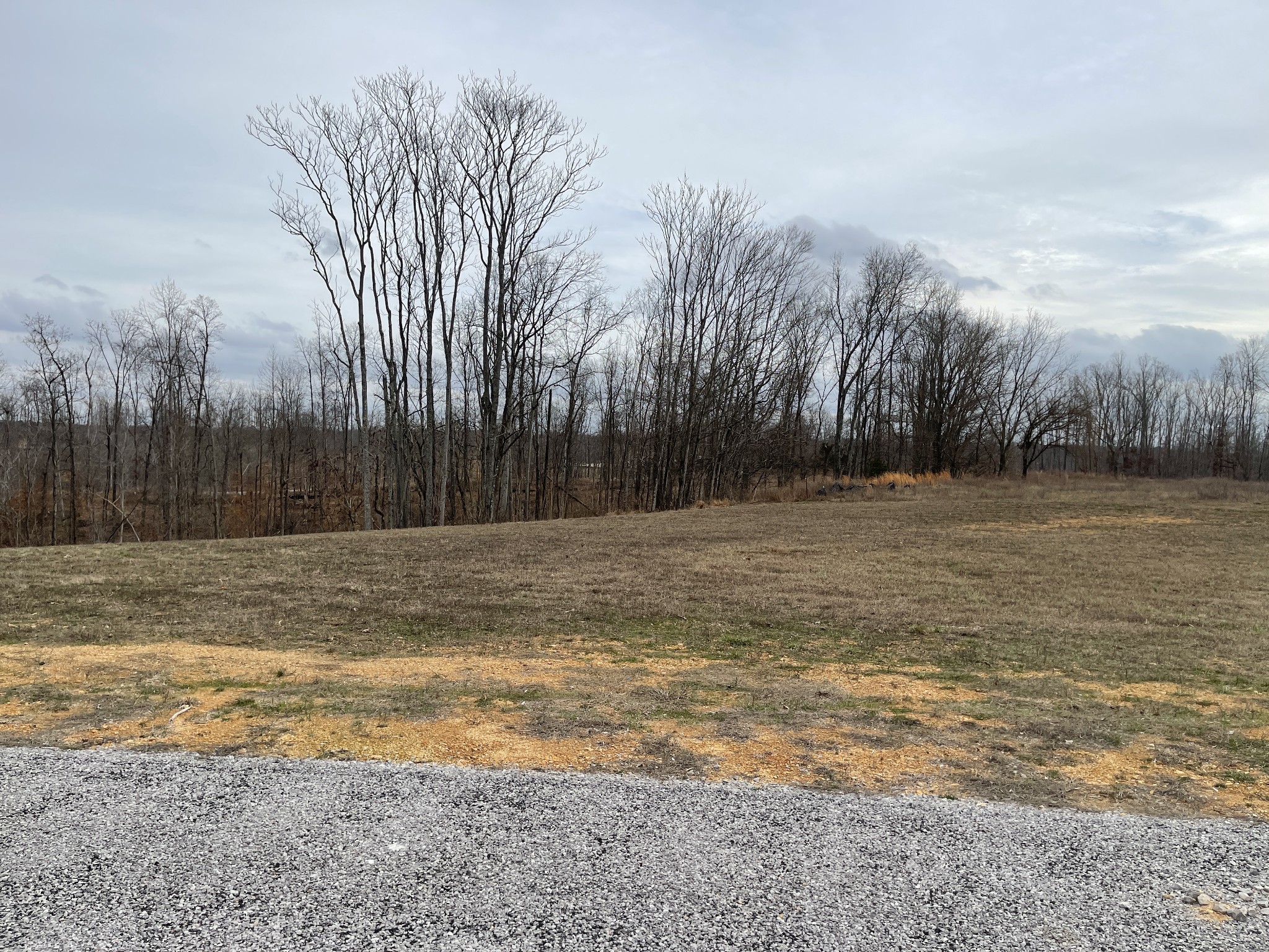 44 Ridgeway Avenue Sparta, TN 38583 - Photo 4 of 42