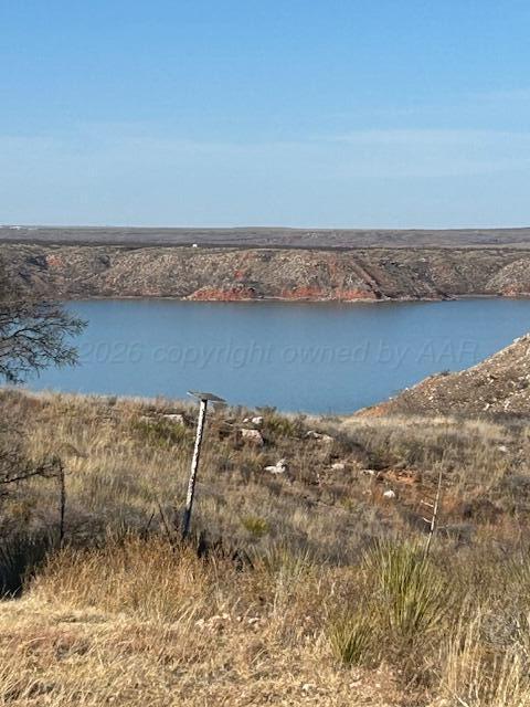 Elizabeth Street Fritch, TX 79036 - Photo 2 of 6 a view of wooden floor