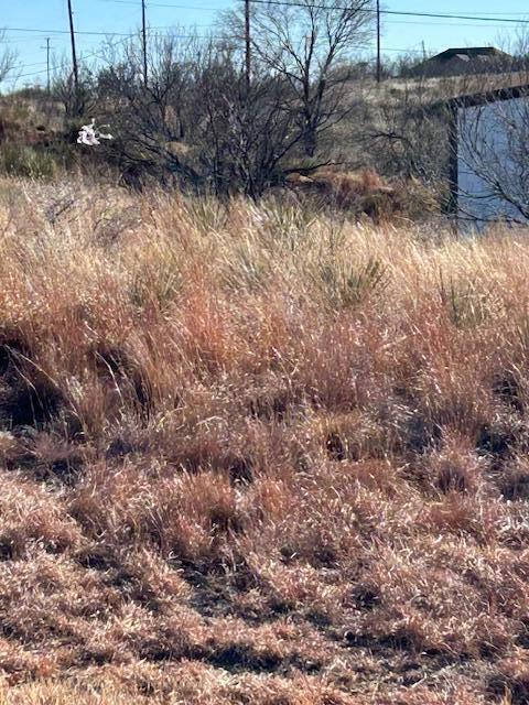 Elizabeth Street Fritch, TX 79036 - Photo 3 of 6 a view of a yard