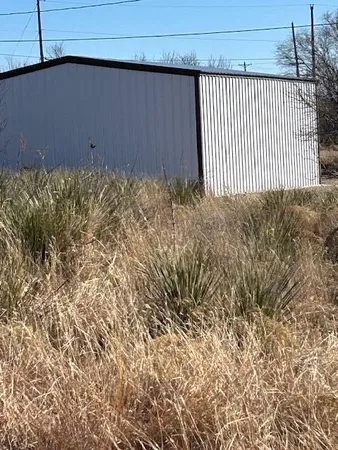 a view of a dry yard with lots of green space