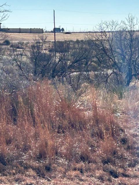 Elizabeth Street Fritch, TX 79036 - Photo 6 of 6 a view of a dry yard with lots of green space