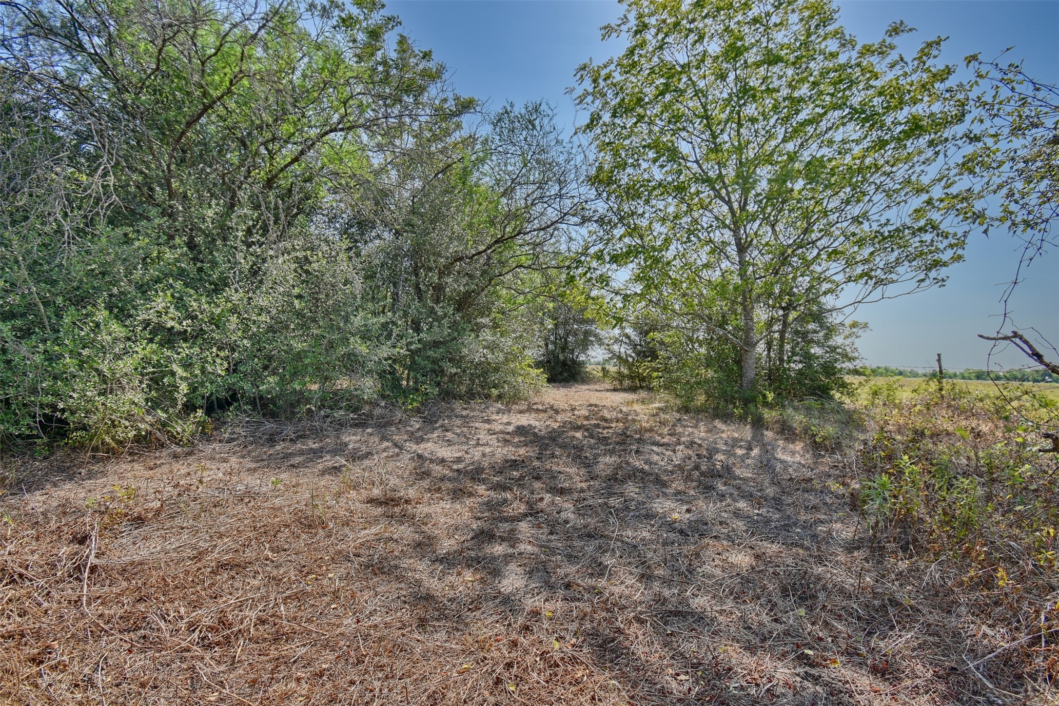 1348 Grubbs Road Sealy, TX 77474 - Photo 6 of 8