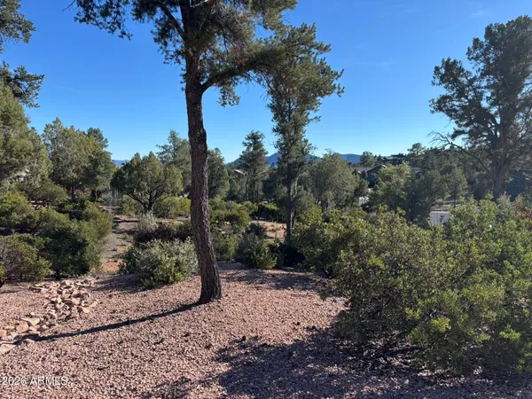 a view of a tree with a yard