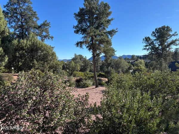 a view of a outdoor space with a tree