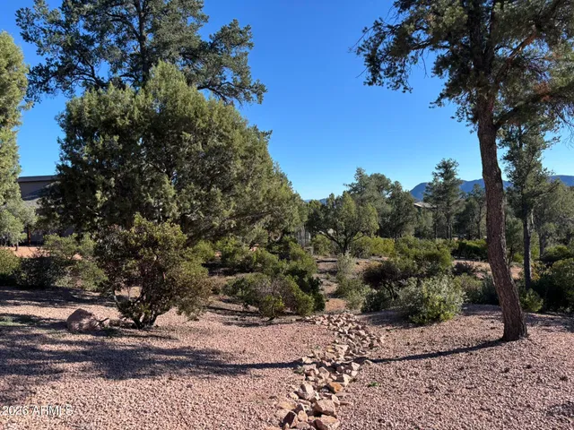 a view of a tree with a yard
