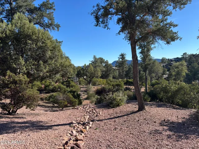 a view of a tree with a yard