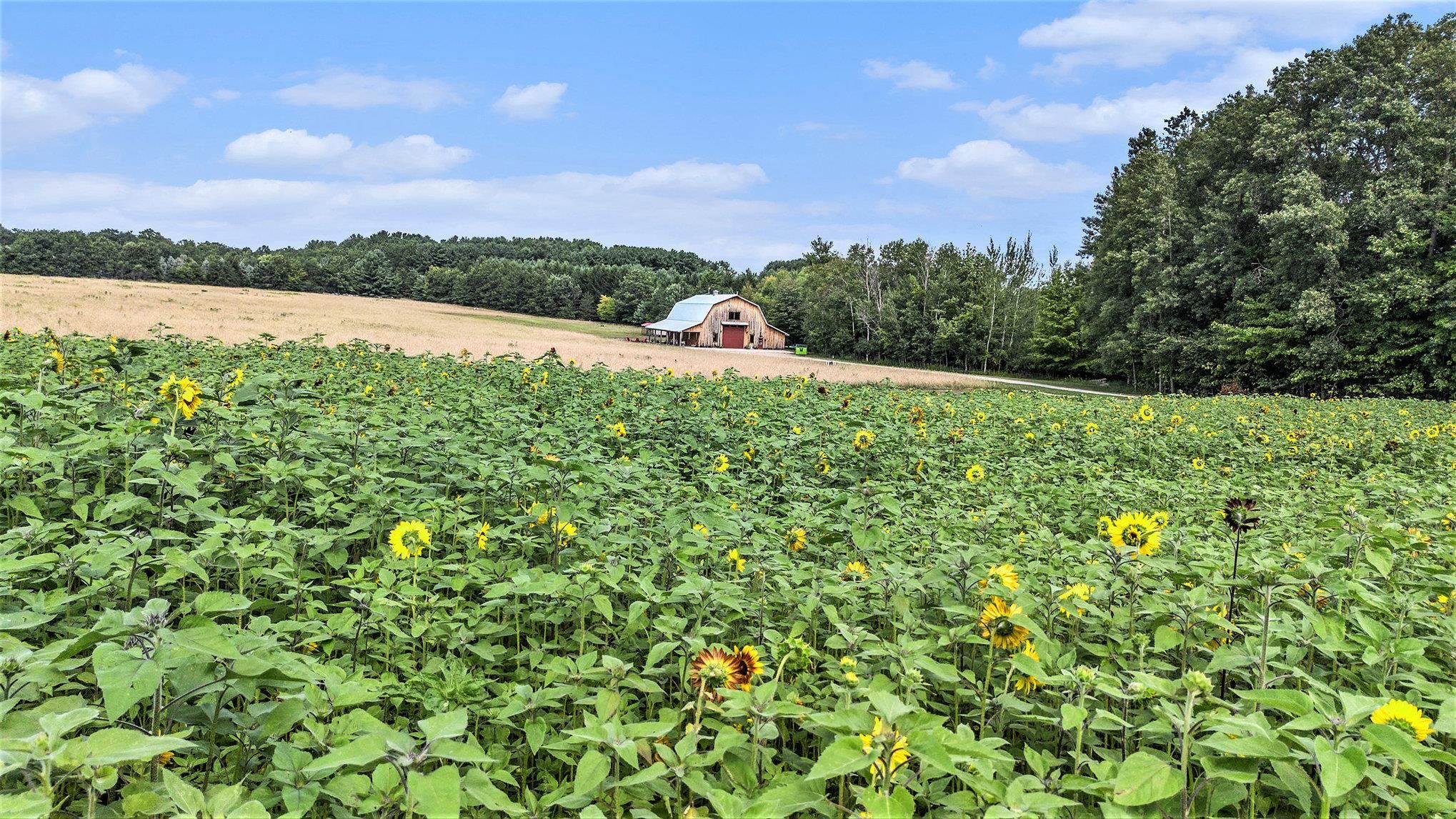 3625 Swaney Road Traverse City, MI 49686 - Photo 9 of 29