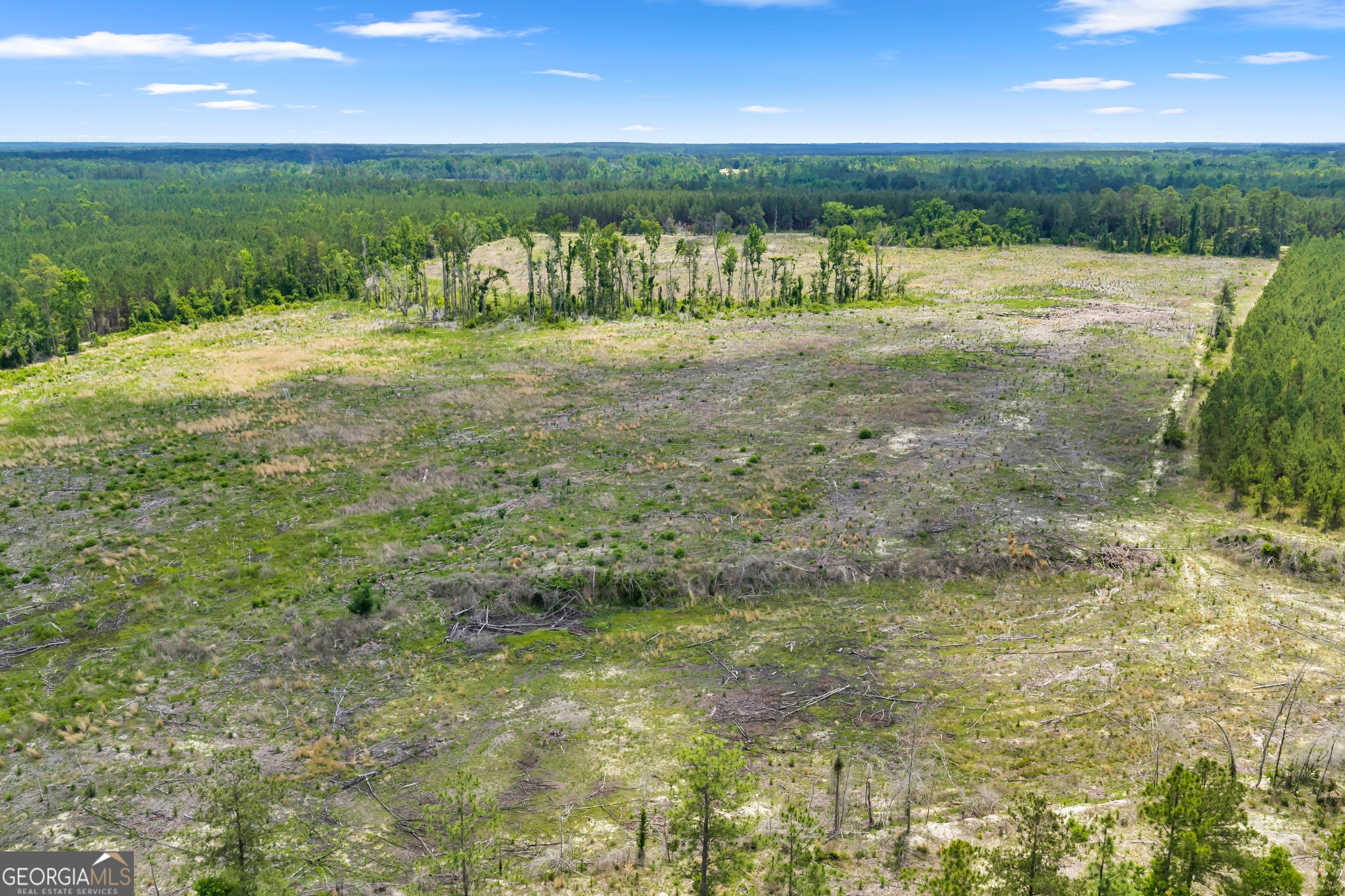 0 Trinity North Adrian, GA 31002 - Photo 2 of 20