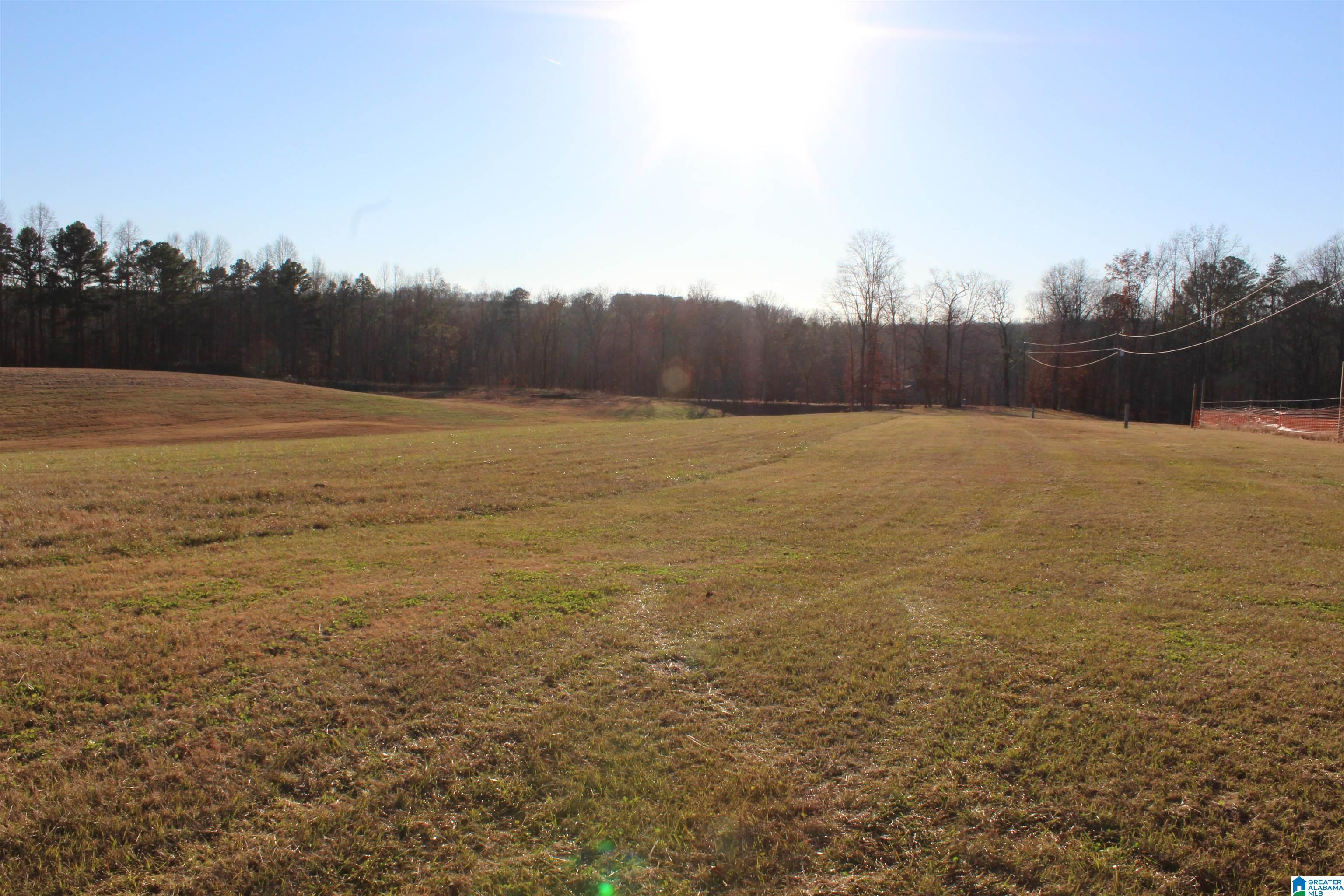589 Morris Road Pell City, AL 35128 - Photo 20 of 29