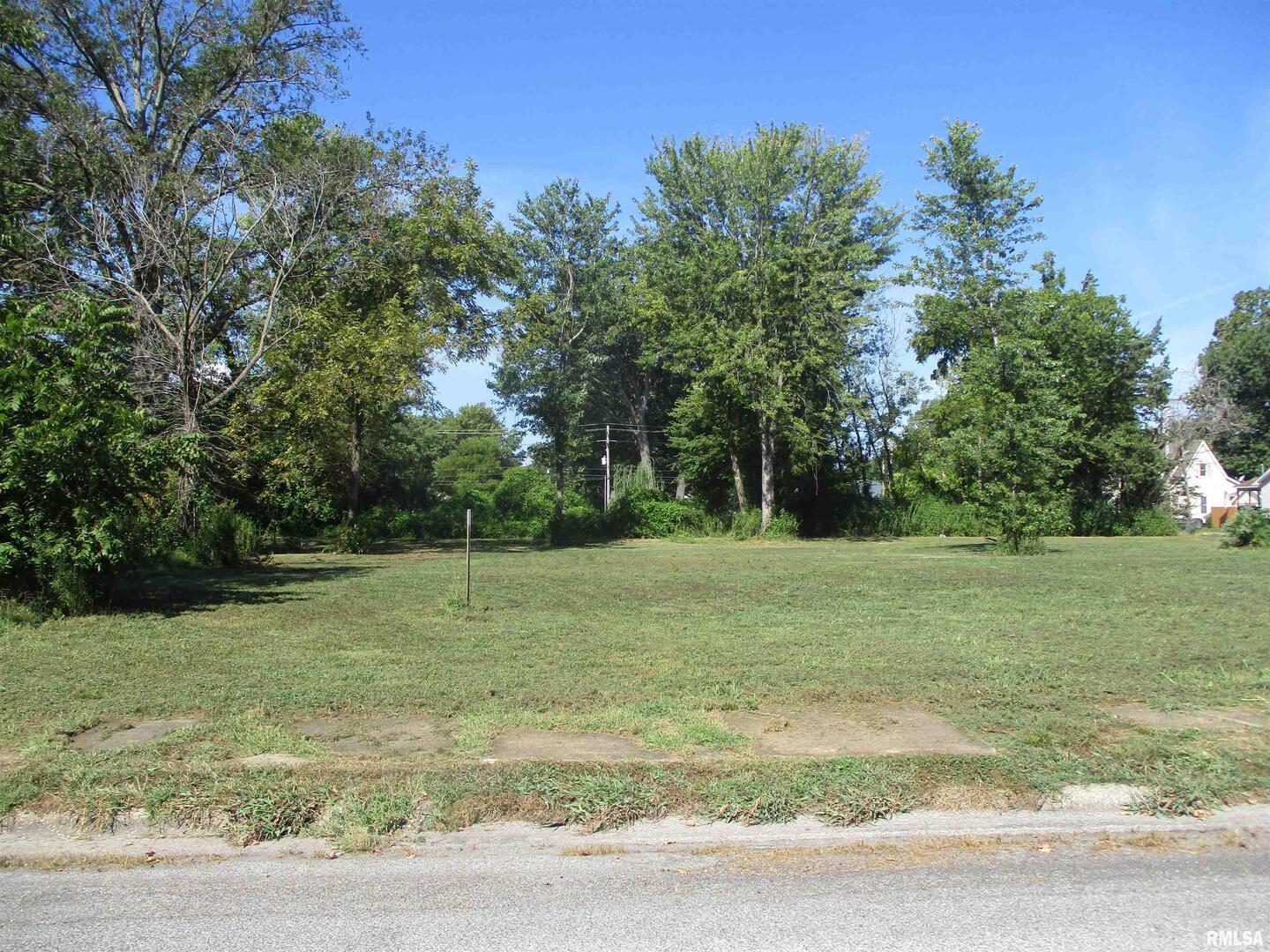 0 North Buchanan Street Benton, IL 62812 - Photo 10 of 23