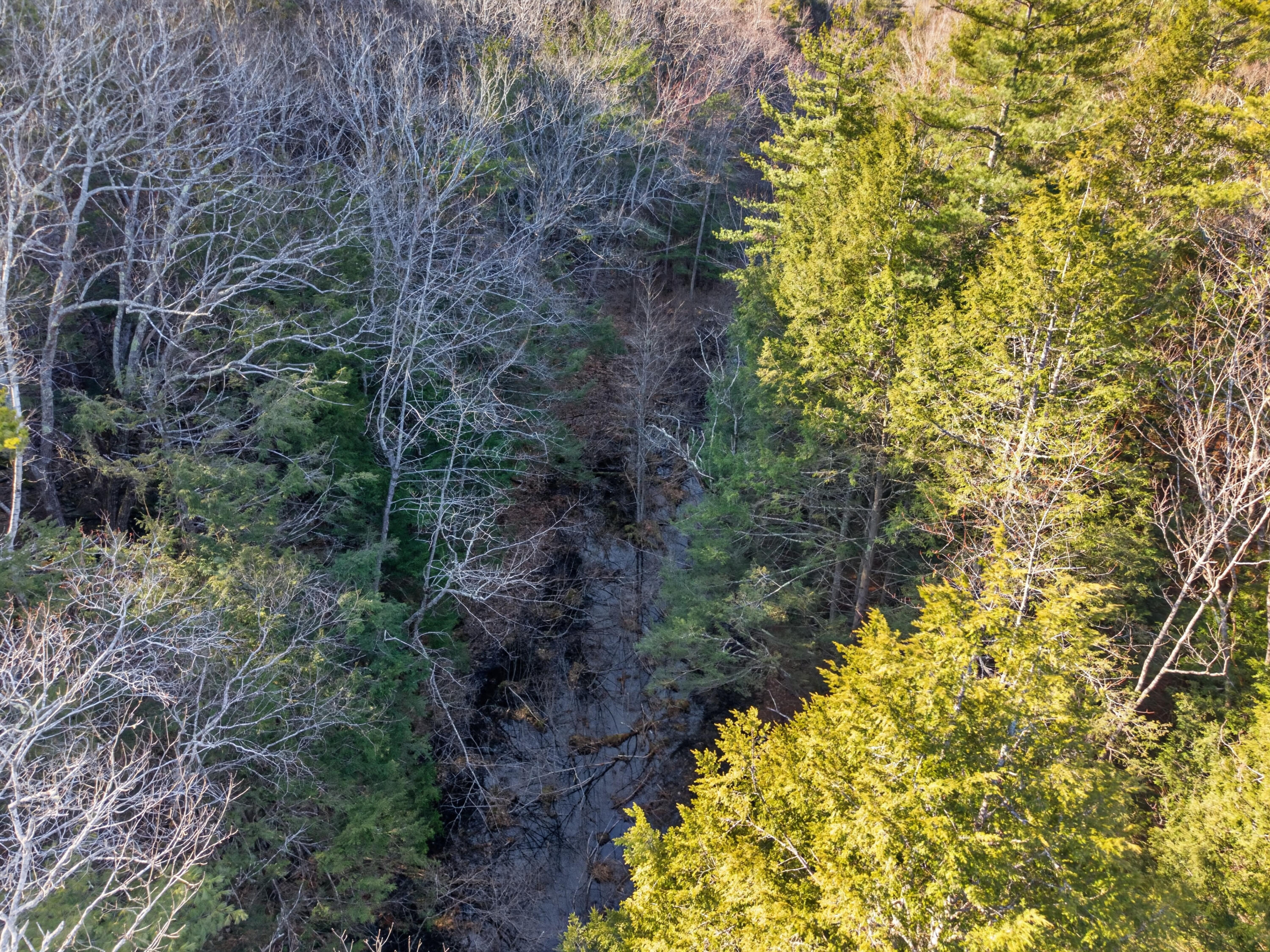 0 Ridge Road Bath, ME 04530 - Photo 16 of 19 00 Ridge Rd_127