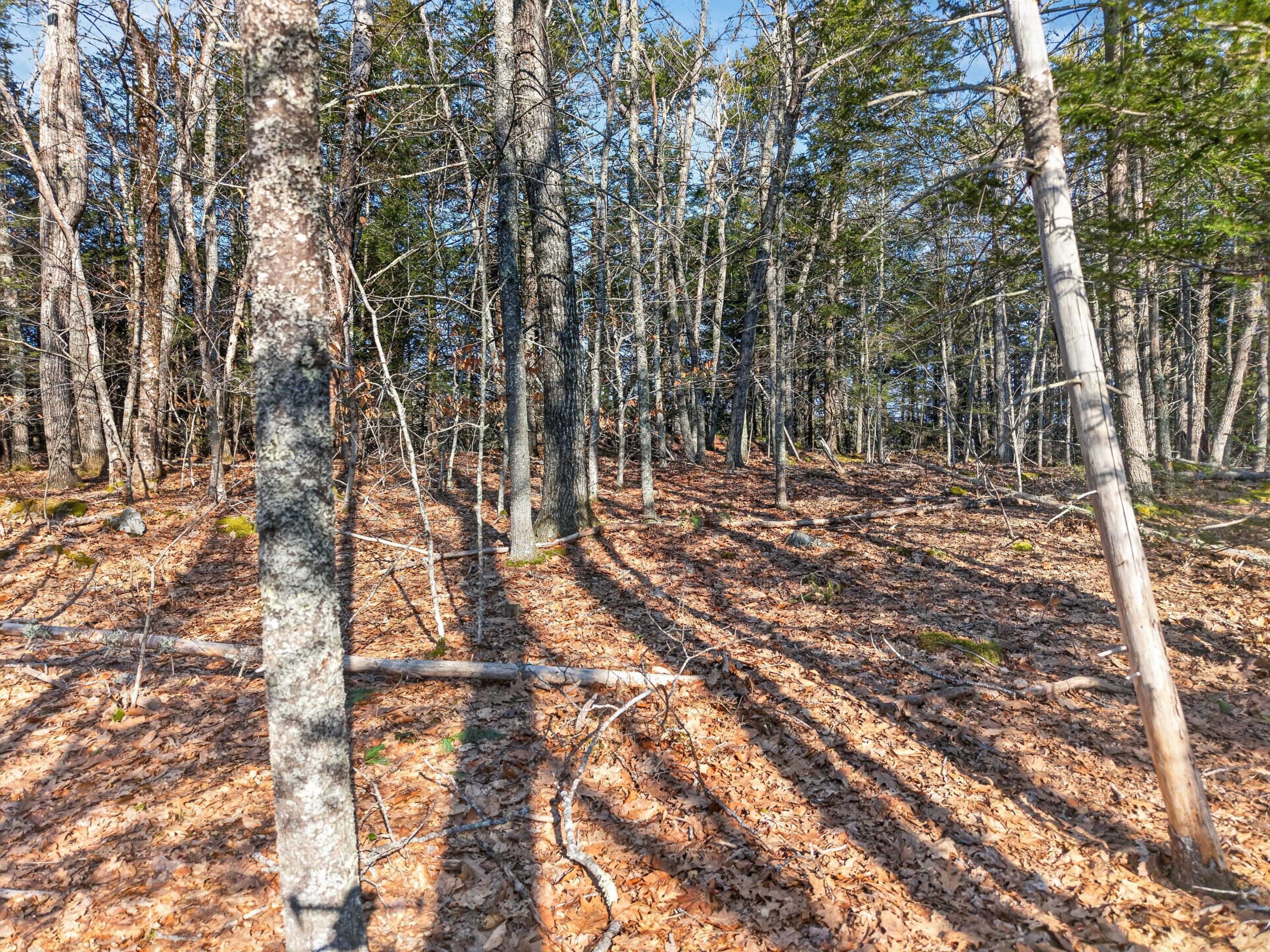 0 Ridge Road Bath, ME 04530 - Photo 4 of 19 00 Ridge Rd_107