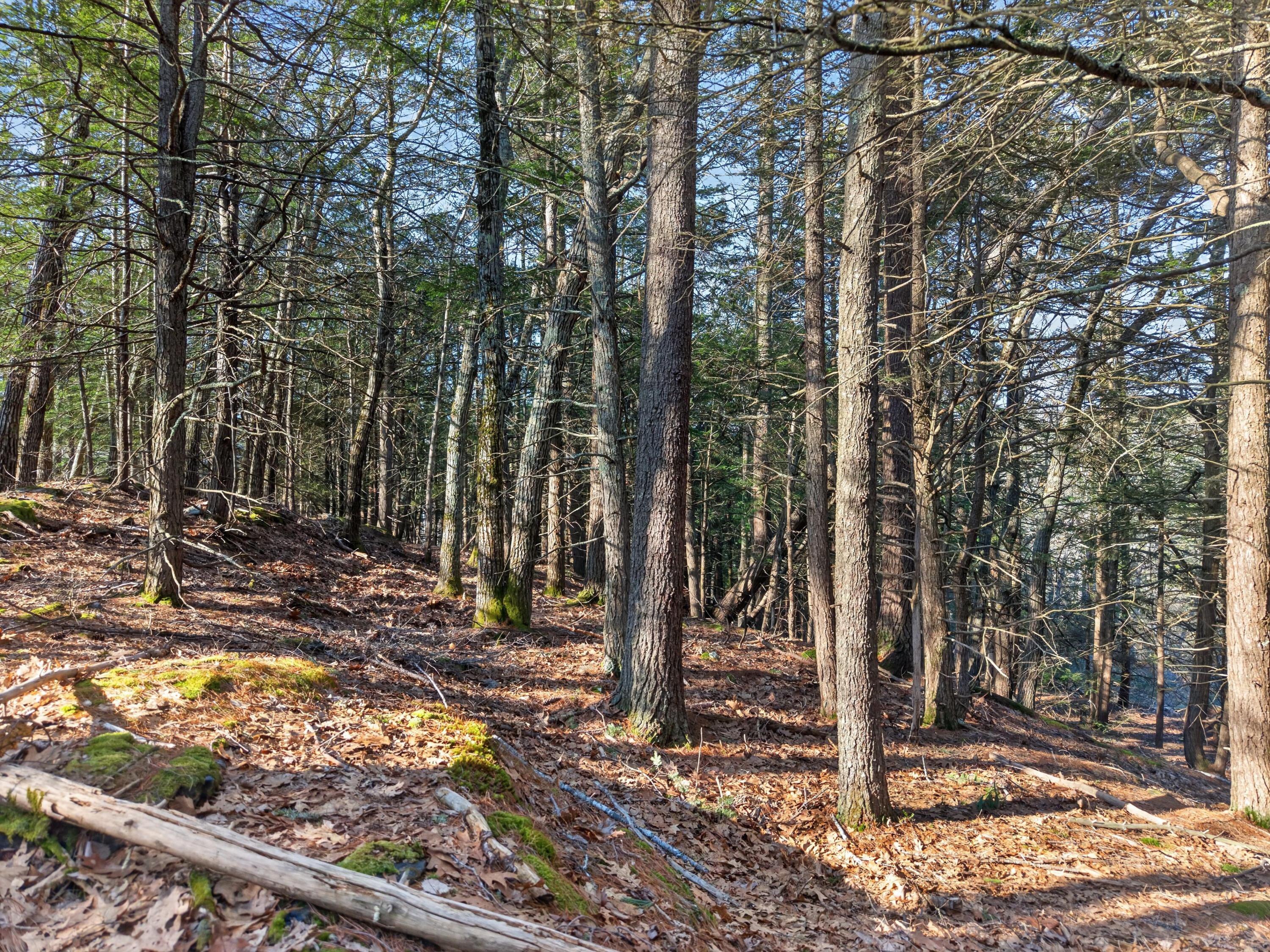 0 Ridge Road Bath, ME 04530 - Photo 5 of 19 00 Ridge Rd_109